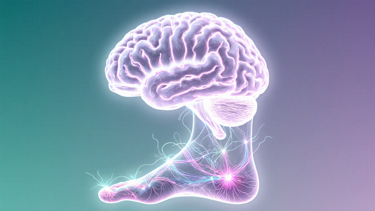 Illustrovaný mozek propojený světelnými liniemi s reflexními body nohy, ukazující vliv na nervový systém.