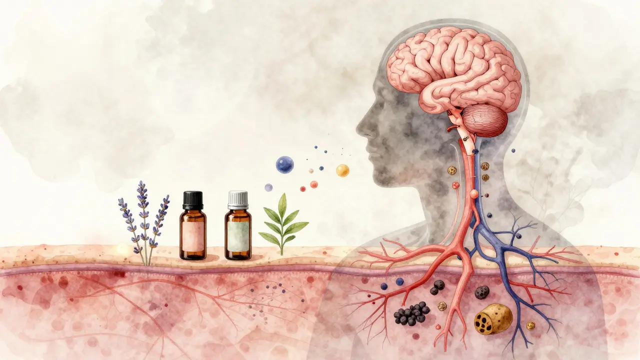 Průřez tělem ukazující, jak esenciální oleje pronikají do kůže a ovlivňují krevní oběh.